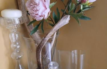 Claro Mews Gem - Foto 15