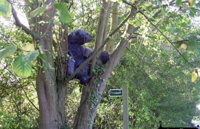 Watt Cottage - Foto 12