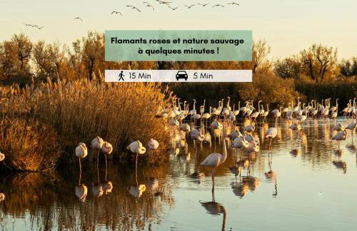 L'ESTANQUET - CLIM - Balcon - Plage - Grau-du-Roi - Foto 11