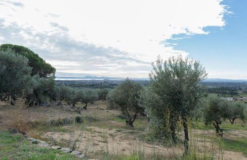 V022 - VILLA ELS OLIVARS - Foto 42