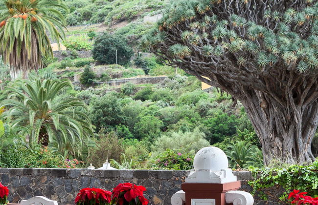 Tenerife Private Excursion - Foto 6