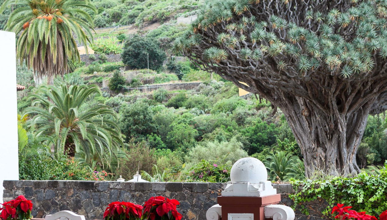 Tenerife Private Excursion - Foto 1