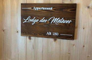 Lodge des Mélèzes - Foto 11