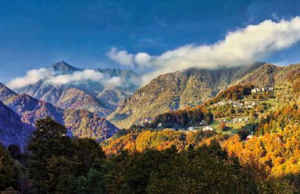 Stones and Pines - Foto 20