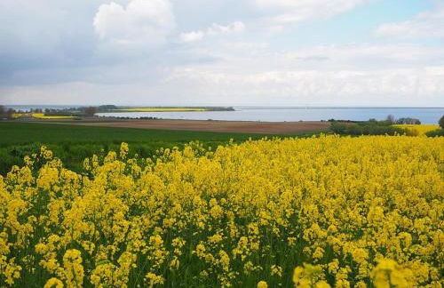 Bungalow in Klein Strtsmkendorf - Foto 54