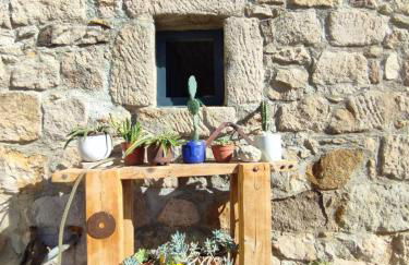 Clède lovée dans la forêt, sauna & bain nordique - Foto 18