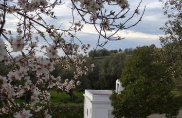 Casa de la Cruz - Foto 56