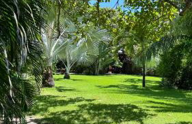 Pousada Rio das Onças - Photo 26