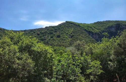 Apartment Luki - Foto 13