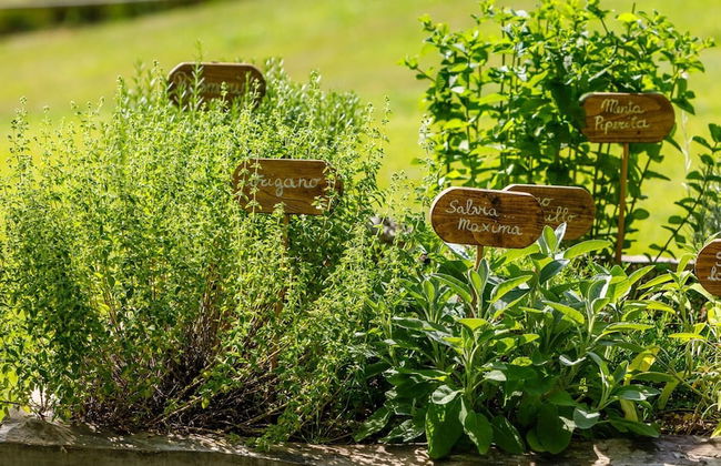 La Casa Di Nan 8 in Forli - Foto 38
