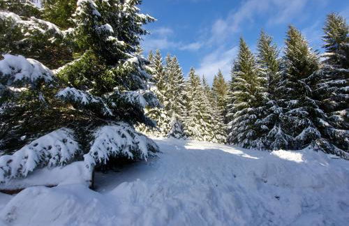 Haus Heidelberg - Foto 59