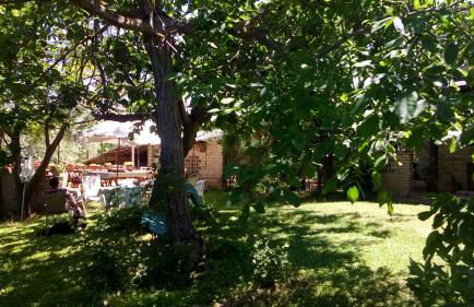 Agriturismo Via del Campo - Foto 9