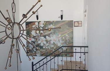 Ala Pa cá - Foto 16