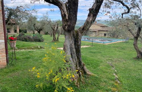 Il casale di Tata - Foto 24