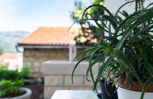 Bokarica Apartments - Photo 23