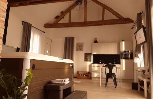 Eaudyssée maison avec SPA privée - Loiret - Photo 4