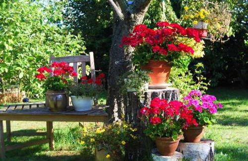 Ferienhaus mit Garten am Bodstedter Bodden - Foto 5