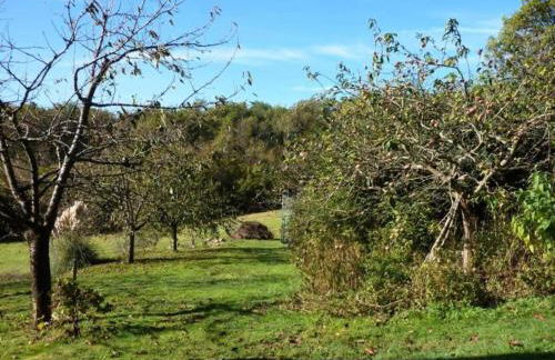 Cahors Countryside Retreat - Foto 29