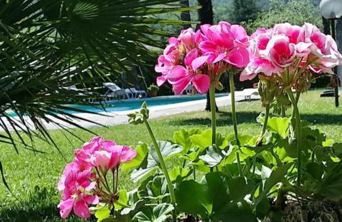 Villa Colli Verdi, met privé zwembad & 5 slaapkamers dicht bij Lucca en Pisa - Foto 15