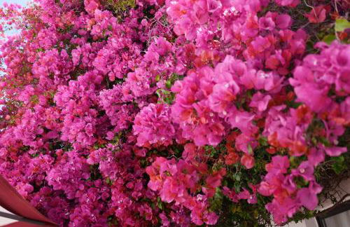 Casa Luzerna - Foto 11