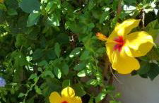 LA POSADA DE LA MUELA - Photo 76