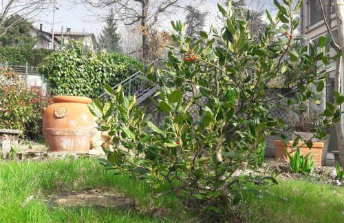 La gazza allegra - Foto 28