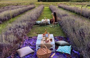 CLAUDIA VACANZA TOSCANA - Appartamento Nocciolo- 10 min da Siena - Foto 29