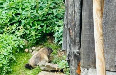 Studio Piccola Renna - Foto 49