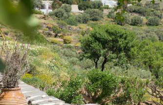 Peristeronas house sifnos - Dove Cot sifnos - Foto 16