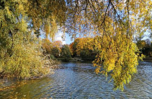 Sweet Little Home Mimi - Foto 21