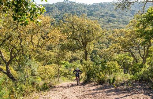 Herdade das Barradas da Serra - Foto 45