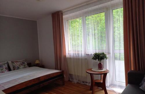 Apartamenty AGAT - Foto 15