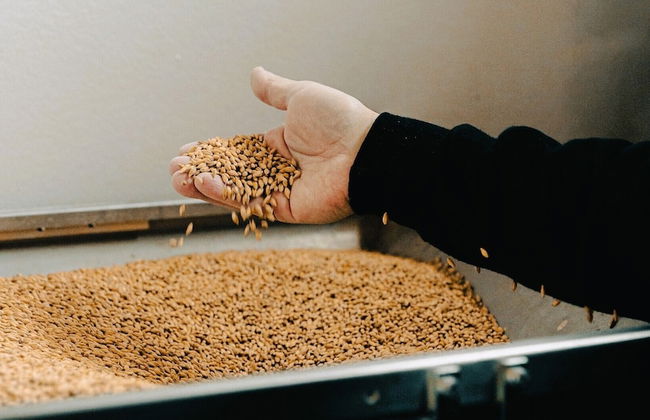 Asolo Norah's Hill Agri Rooms - Foto 76