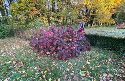 La maison d'Apolline - Photo 51