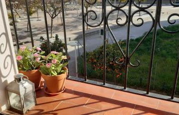 Golondrina - Foto 38