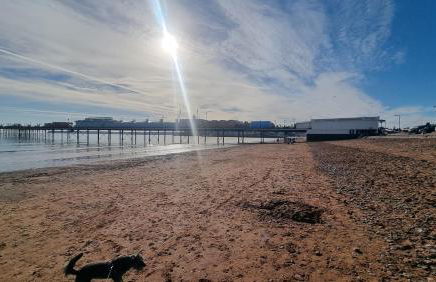 Seas The Day - Paignton, Close to Beach, Excellent Location - Foto 60