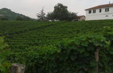 Agriturismo Ai Piacentini - Photo 10