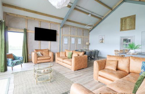 Barcud Coch - Red Kite - Photo 7