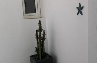 Estrella de Mar - Photo 9