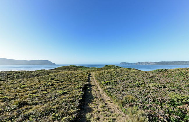 Cloudy Bay Villa - Foto 22