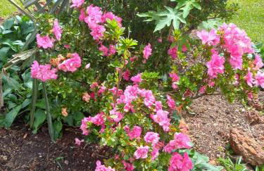 Recanto da Tia Lena - Foto 23