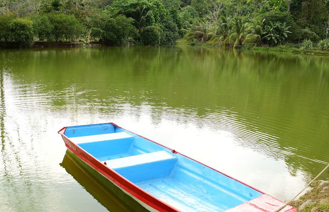 El Lago - Finca Agrituristica - Photo 11