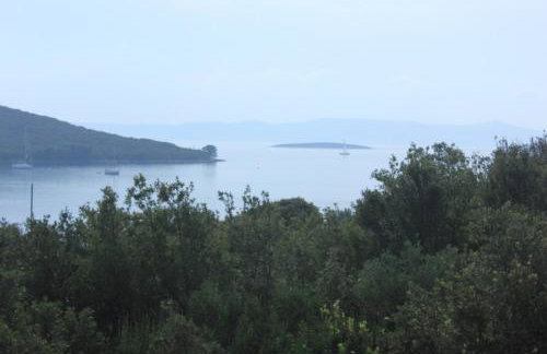 Apartments by the sea Muline, Ugljan - 8520 - Foto 35