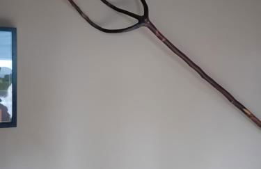 La Grange de Paul au Domaine du Reuze - Foto 5