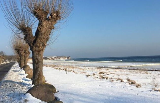 Apartment Near the Beach With sun Balcony - Photo 11