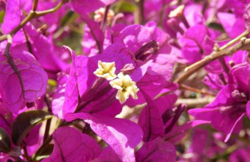 Maro Suites - Foto 24