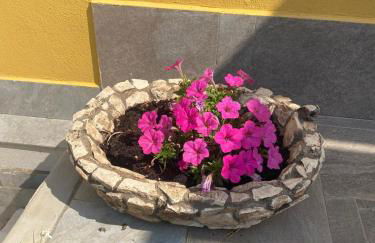 Villa Trellame - Casa vacanze tra gli ulivi - Foto 28