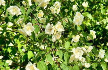 Villa Madeleine - Foto 4