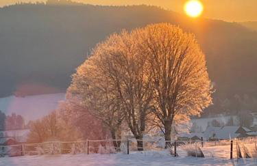 Ferienwohnungen Hollerberg Wohnung 1 - Photo 8