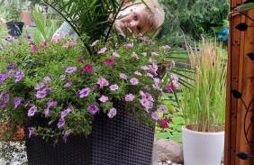 Apartment Dietze - Foto 10